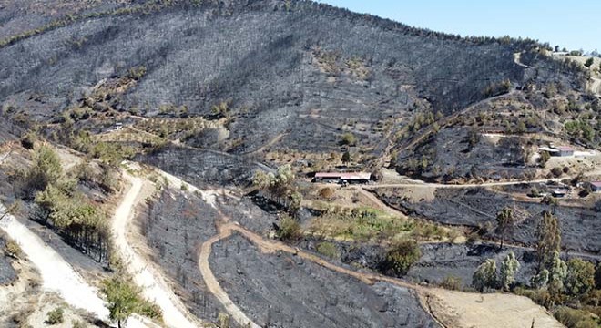 Hatay'da yanan alanlar havadan görüntülendi