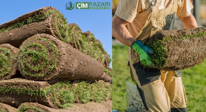 Hazır Rulo Çim Nedir? Bakım Kolaylıkları Var mı? Fiyatlar Ne Kadar?
