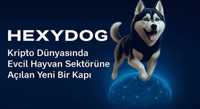 Hexydog: Kripto Dünyasında Evcil Hayvan Sektörüne Açılan Yeni Bir Kapı