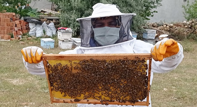 Hocalar'da kadınlara arıcılık kursu
