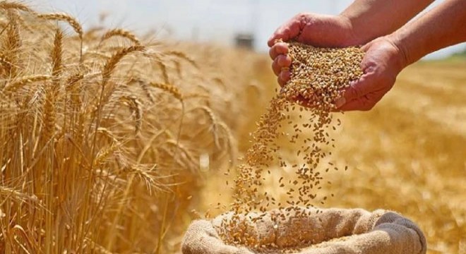 Hububat alım ve satış fiyatları belli oldu