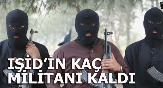 IŞİD'in kaç militanı kaldı