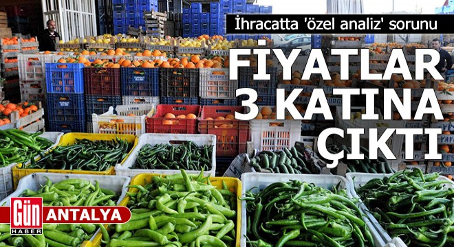 İhracatta 'özel analiz' sorunu; Antalya'da fiyatlar 3 katına çıktı