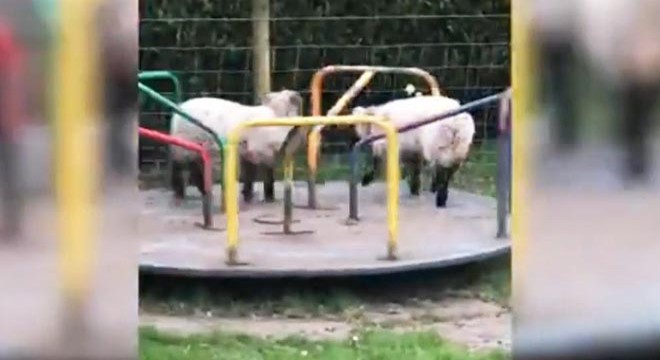 İngiltere'de karantina en çok onlara yaradı