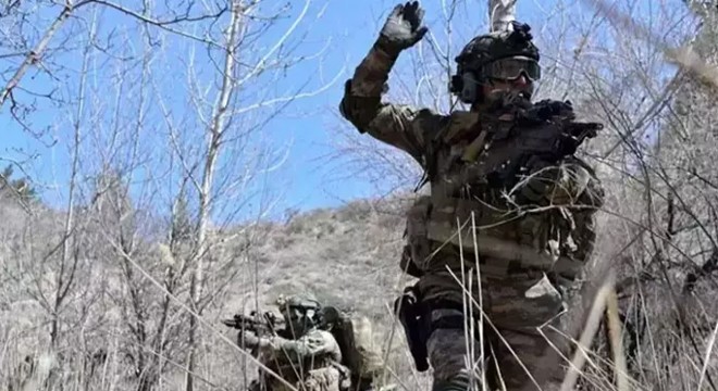 Irak ve Suriye'nin kuzeyine hava harekatı