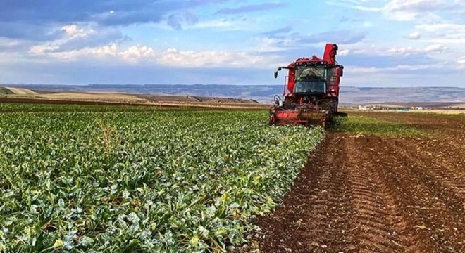 İşlenmeyen araziler kiraya verilecek