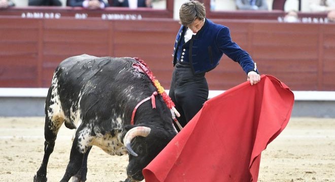 İspanya'da boğa güreşleri 19 ay sonra yeniden başladı