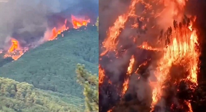 İspanya ve Portekiz orman yangınlarıyla mücadele ediyor