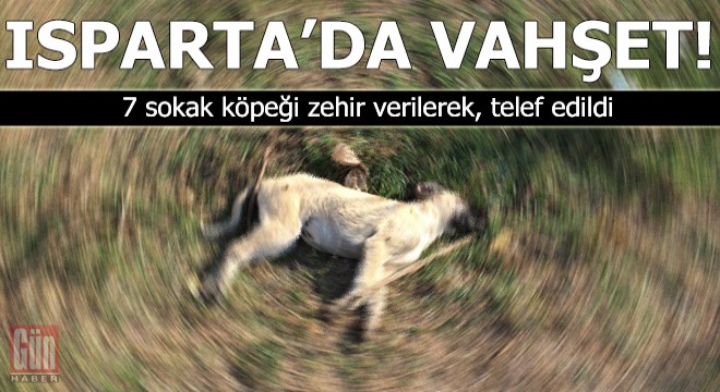 Isparta'da 7 köpeğin zehirlenmesine inceleme