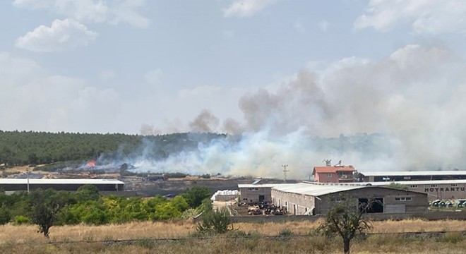 Isparta'da anız yangınında alevler ormana sıçradı