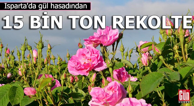 Isparta'da gül hasadından 15 bin ton rekolte