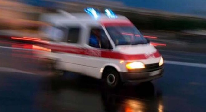 Isparta'da minibüsün çarptığı Elveda öldü