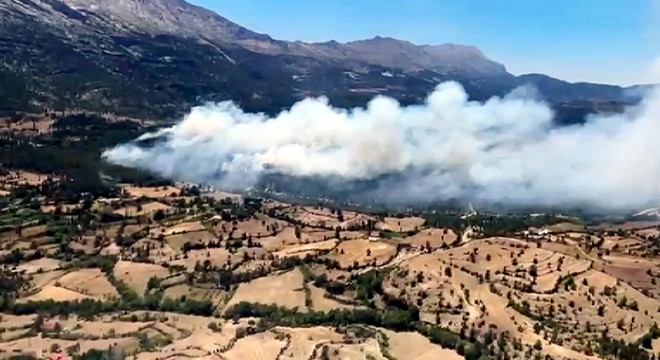 Isparta'da orman yangını