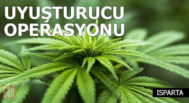 Isparta'da uyuşturucu operasyonu