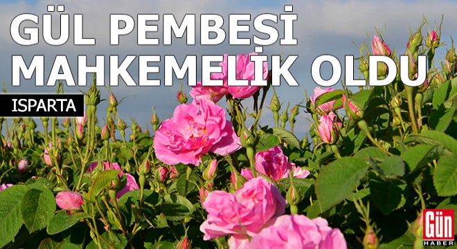 Isparta'nın gül pembesi mahkemelik oldu