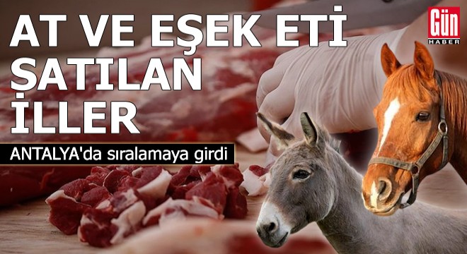 İşte at ve eşek eti satılan iller! Antalya'da sıralamaya girdi