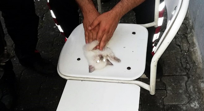 İtfaiye erinin kediyi kurtarma çabası kamerada