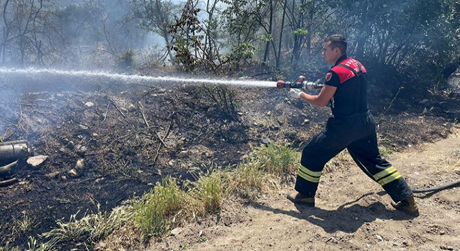 İtfaiye müdüründen 'ot yangını' uyarısı