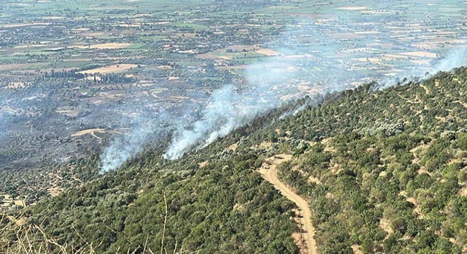 İzmir Ödemiş'teki orman yangını 3'üncü gününde