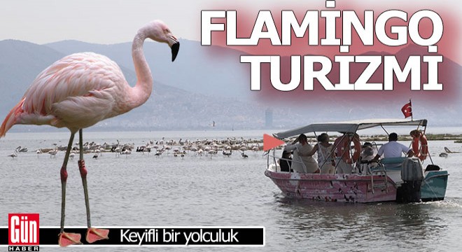 İzmir'de 'Flamingo Yolu' turu