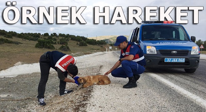 Jandarmadan örnek hareket