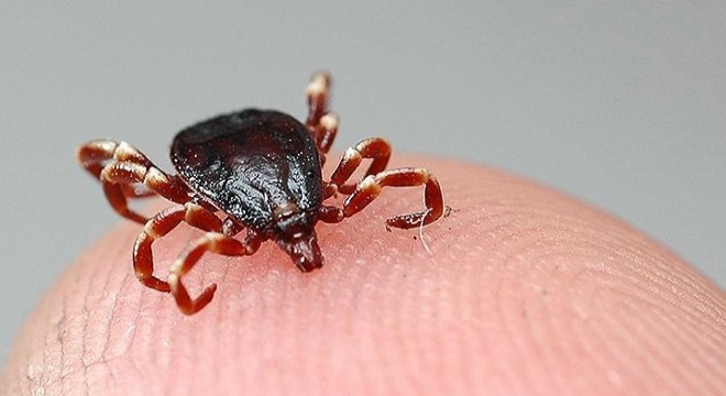 KKKA tedavisi gören 7 çocuk annesi öldü