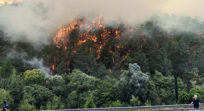 Kabus bitmiyor: Bolu'da orman yangını