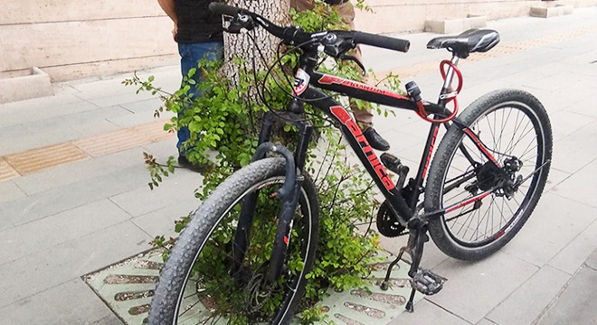 Kamyonete çarpan bisikletli yaralandı