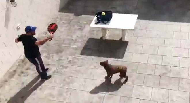 Karantinada bahçeden bahçeye pinpon oynadılar