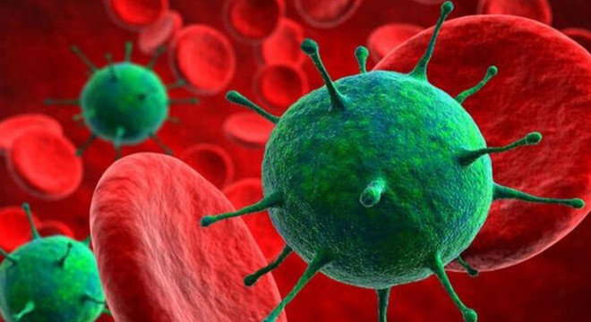 Karantinayı ihlal eden 4 kişi, yol kontrolünde yakalandı