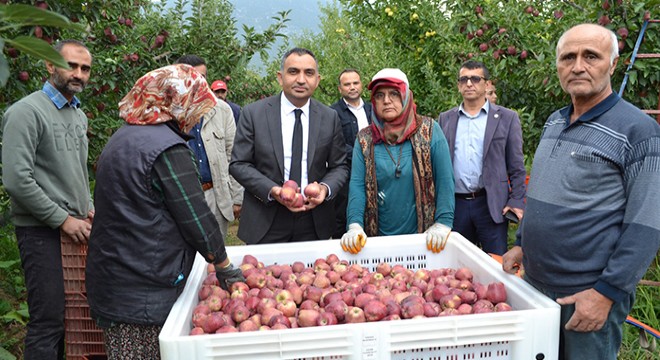 Kaymakam Çelik'ten elma bahçelerine ziyaret