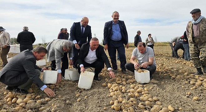 Kaymakam ve belediye başkanı patates topladı