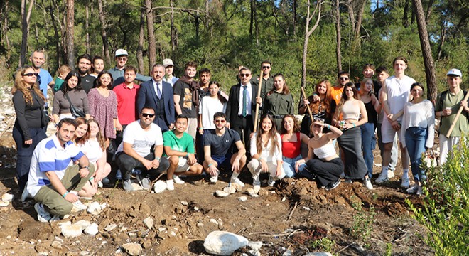 Kemer'de fidanlar yanan ormana dikildi