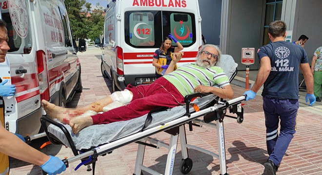 Komşusunun köpeği saldırdı, bacağına 20 dikiş atıldı