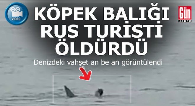 Köpek balığı yüzen Rus genci böyle parçaladı