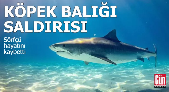 Köpek balığının saldırdığı sörfçü öldü
