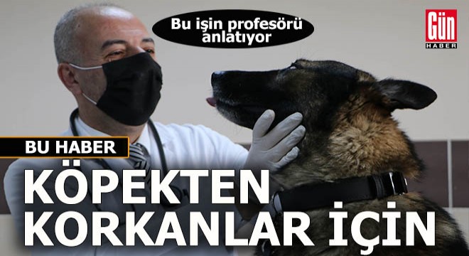 Köpekten korkanlar, bu işin profesörü bakın ne diyor?