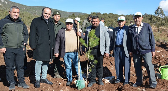Korkuteli'de 500 fidan toprakla buluştu