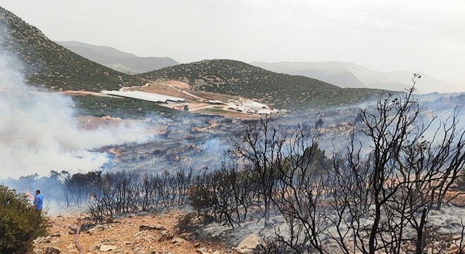 Korkuteli'de çalılık yangını