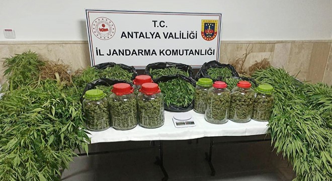 Korkuteli'nde 43 kilo uyuşturucu ele geçirildi