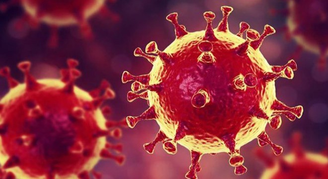 Koronavirüs nedeniyle yaşamını yitirdi