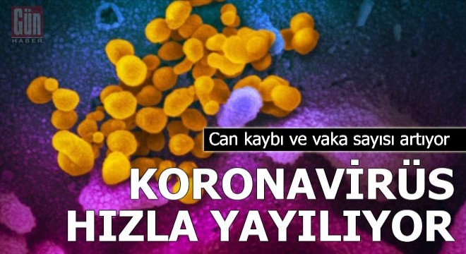 Koronavirüs salgınında can kaybı artıyor