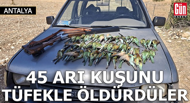 Koruma altındaki 45 arı kuşunu tüfekle öldürdüler