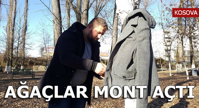 Kosova'da ağaçlar mont açtı