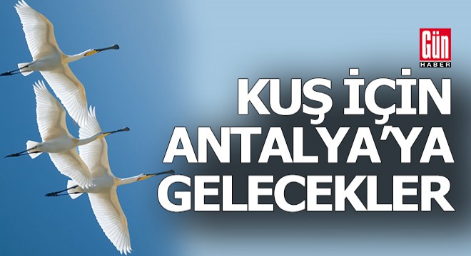 Kuş Gözlem Kampı Nisan'da Antalya'da başlıyor