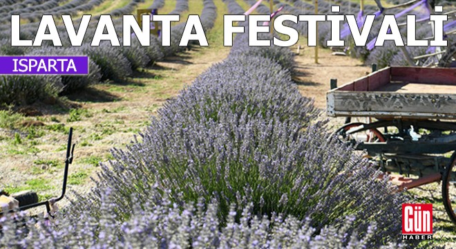 Kuyucak'ta Lavanta Festivali