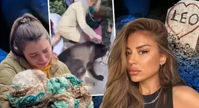 Leo'nun tazminatı sokak hayvanlarına bağışlanacak