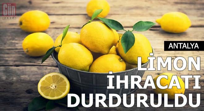 Limon ihracatı durduruldu
