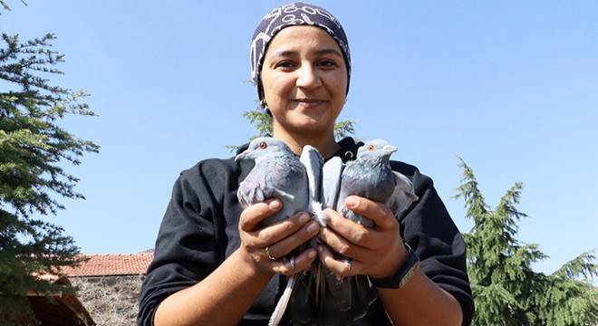 Lisinia Yaban Hayatı Rehabilitasyon Projesi sonlandırıldı