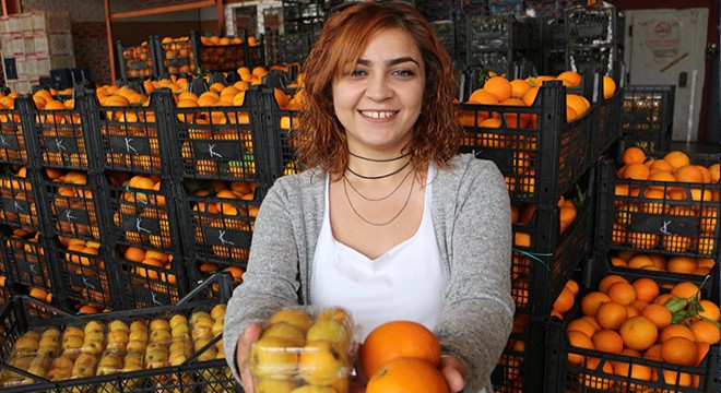 Malta eriği, üreticinin yüzünü güldürüyor